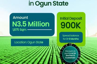 1 Acre of Land in Ogun State